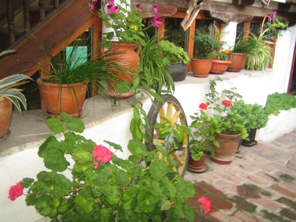 Dedo Pene Inn Bansko Exterior foto